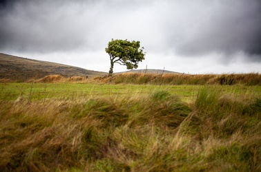 © Adobe Stock Resilienz, © Adobe Stock