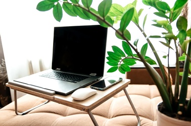 © stock.adobe.com/Evelina stock.adobe.com, © stock.adobe.com/Evelina