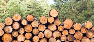 AdobeStock_414344956_pintxoman