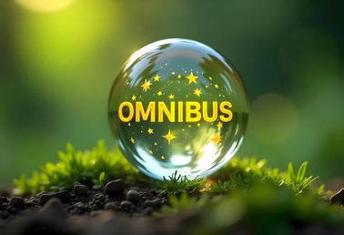 Omnibus-Paket - Lieferkette reloaded