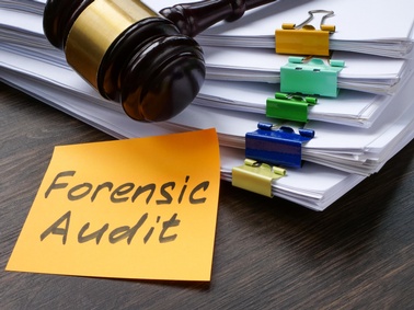 Forensic Audits