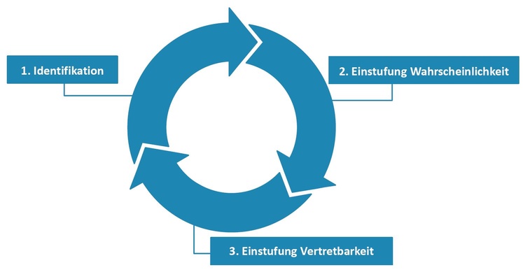 Abbildung 2: Iterative Risk Assessment Phasen, © PwC Österreich GmbH